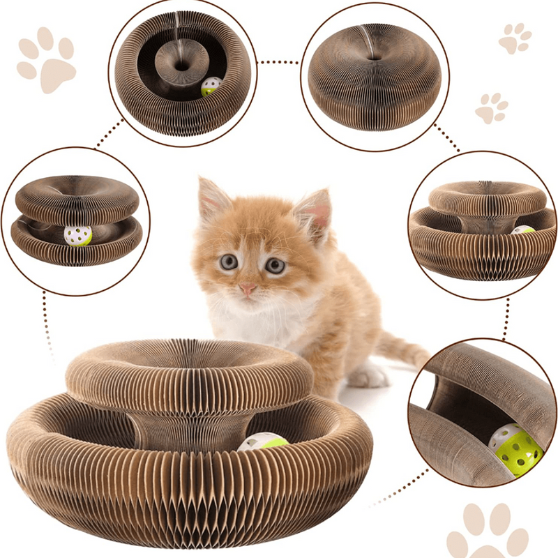 Brinquedo Interativo Para Gatos I Cat Joy + 1 Bola de Brinde - MCA GLOBAL STORE - Todos os direitos reservados