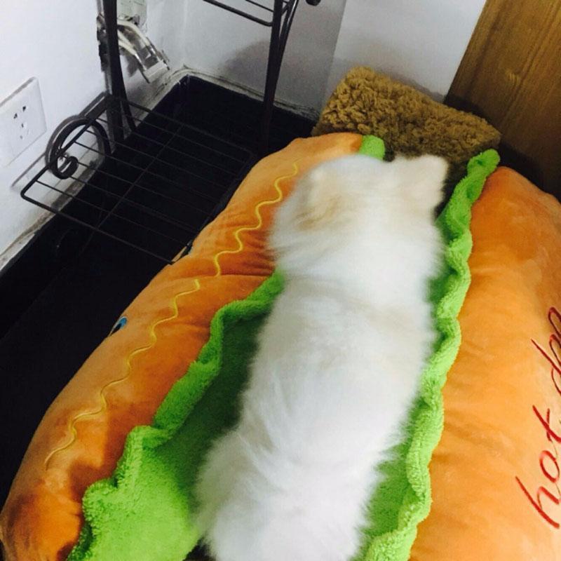 Cama para Pets - Hot Dog - MCA GLOBAL STORE - Todos os direitos reservados